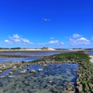 Les baies de Somme, Beauvais et Amiens 👌 #france #landscape #nature #sea